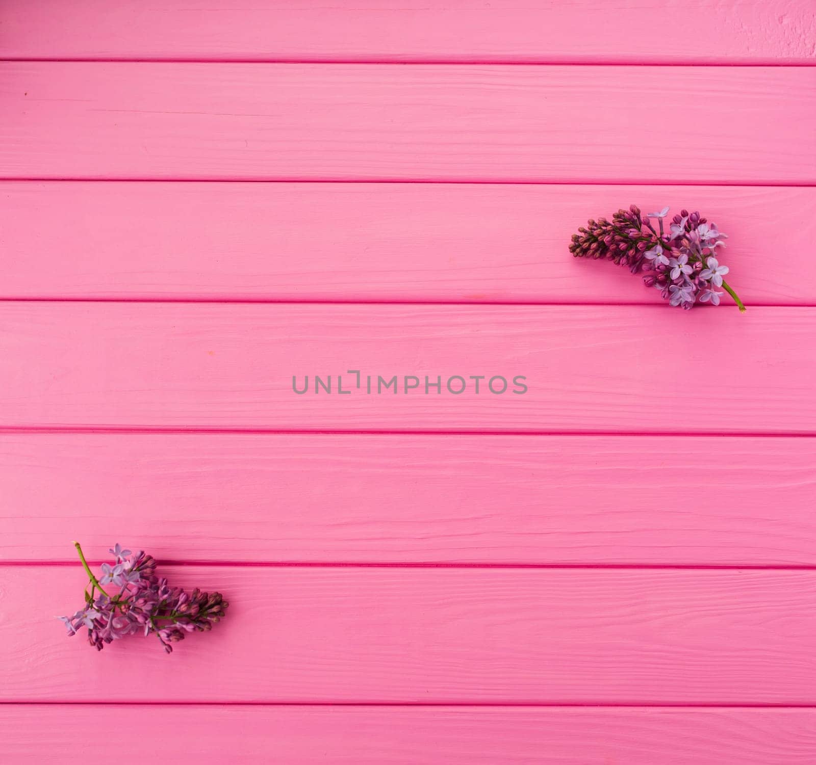 Summer abstract background mockup template free copy space for text pattern sample top view above on pink wooden board. blank empty area for inscription. in corners flowers borders frames lilac bloom