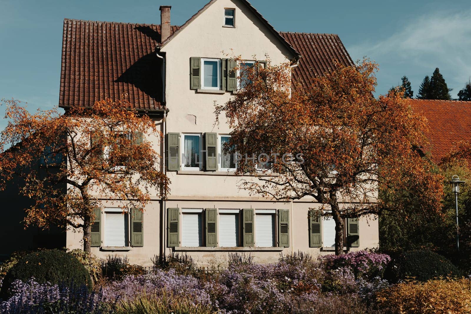 House with nice garden in fall. Flowers in the City Park of Bietigheim-Bissingen, Baden-Wuerttemberg, Germany, Europe. Autumn Park and house, nobody, bush and grenery by Andrii_Ko