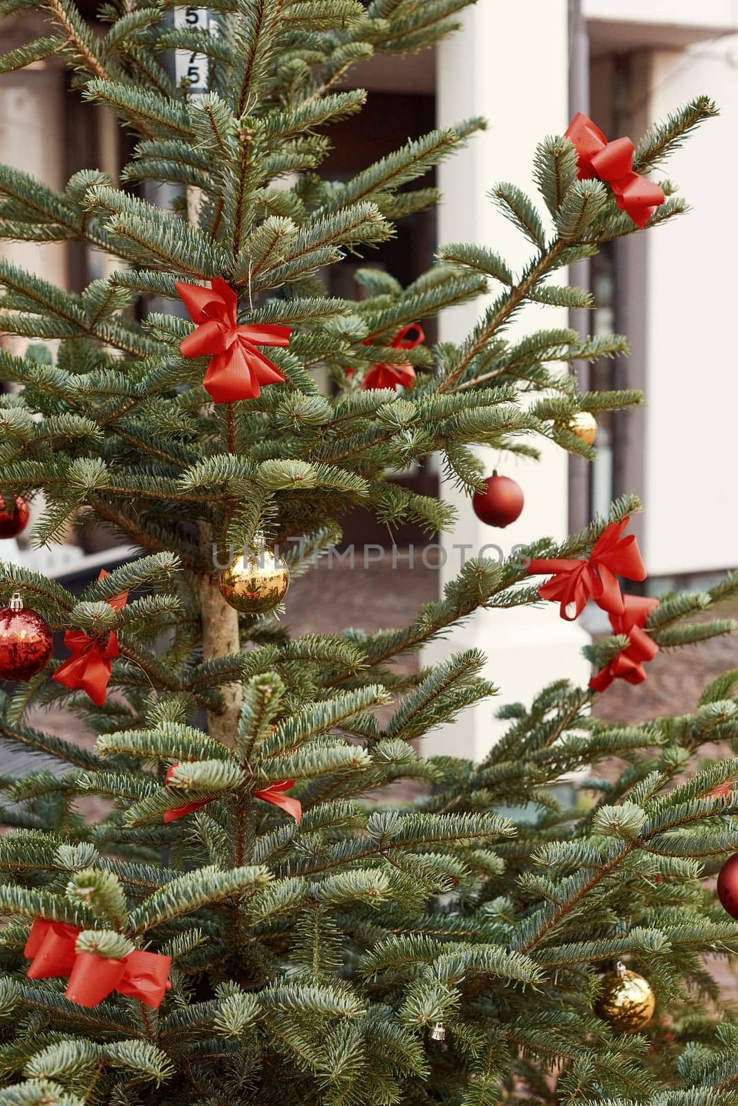Festive Street Scene: Close-Up of Christmas Tree with Red Ornaments. Close-Up View of Festively Decorated Christmas Tree on the Street with Red Ornaments by Andrii_Ko