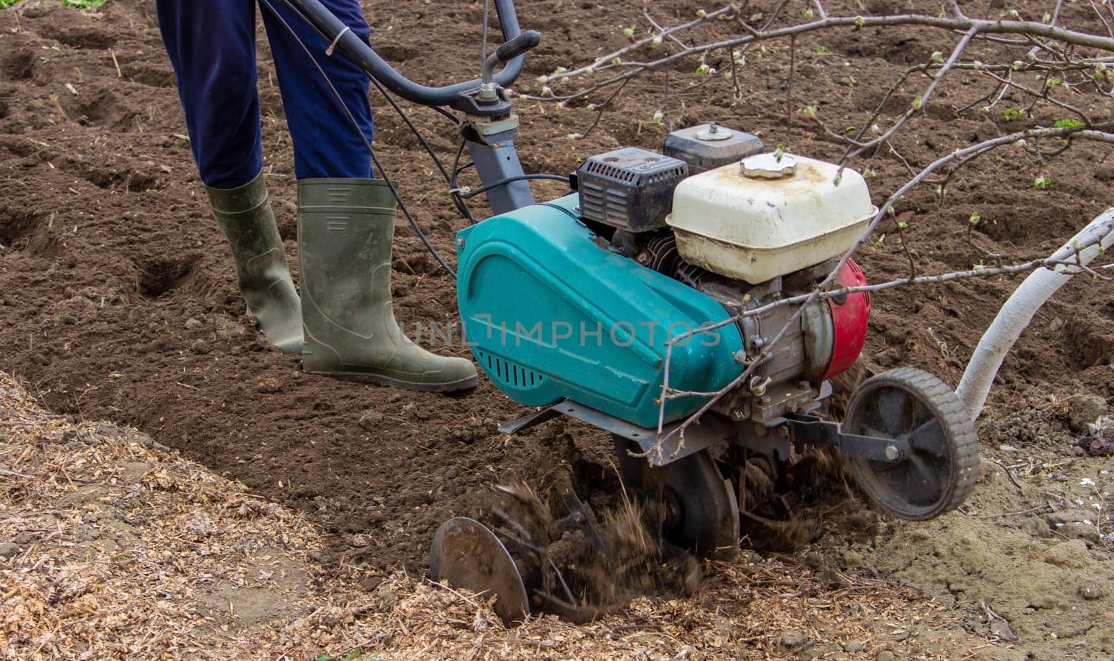 a male farmer works in the field on a walk behind a walk-behind tractor, plows the land with a plow.