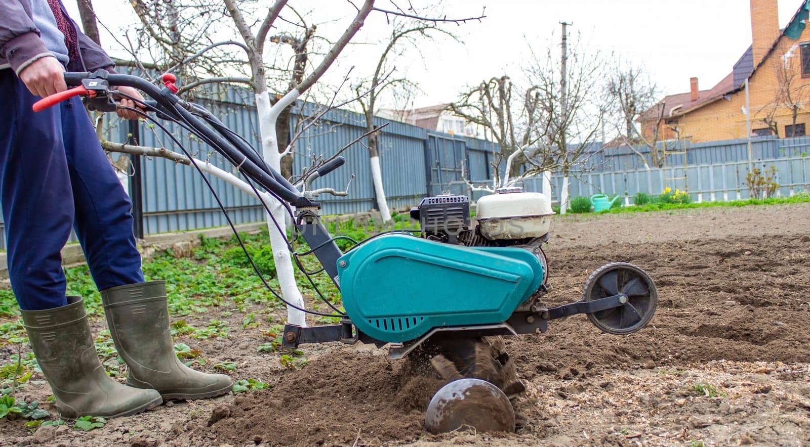 a male farmer works in the field on a walk behind a walk-behind tractor, plows the land with a plow.