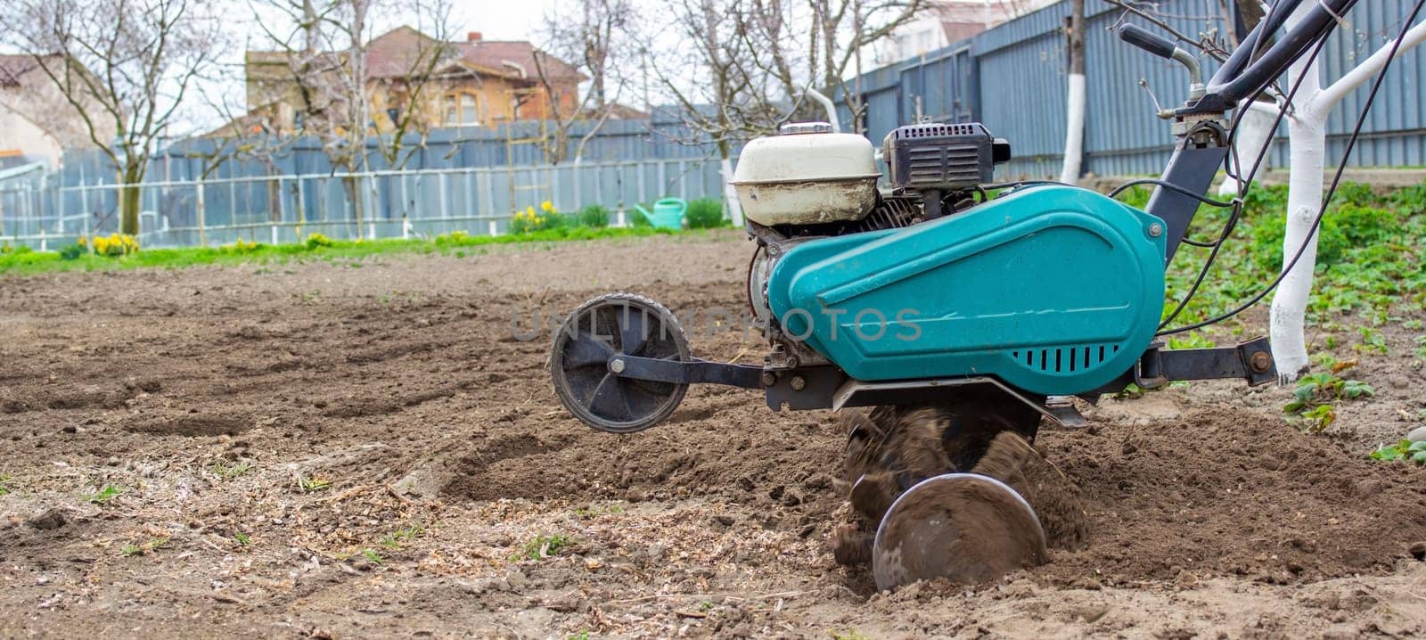 a male farmer works in the field on a walk behind a walk-behind tractor, plows the land with a plow.