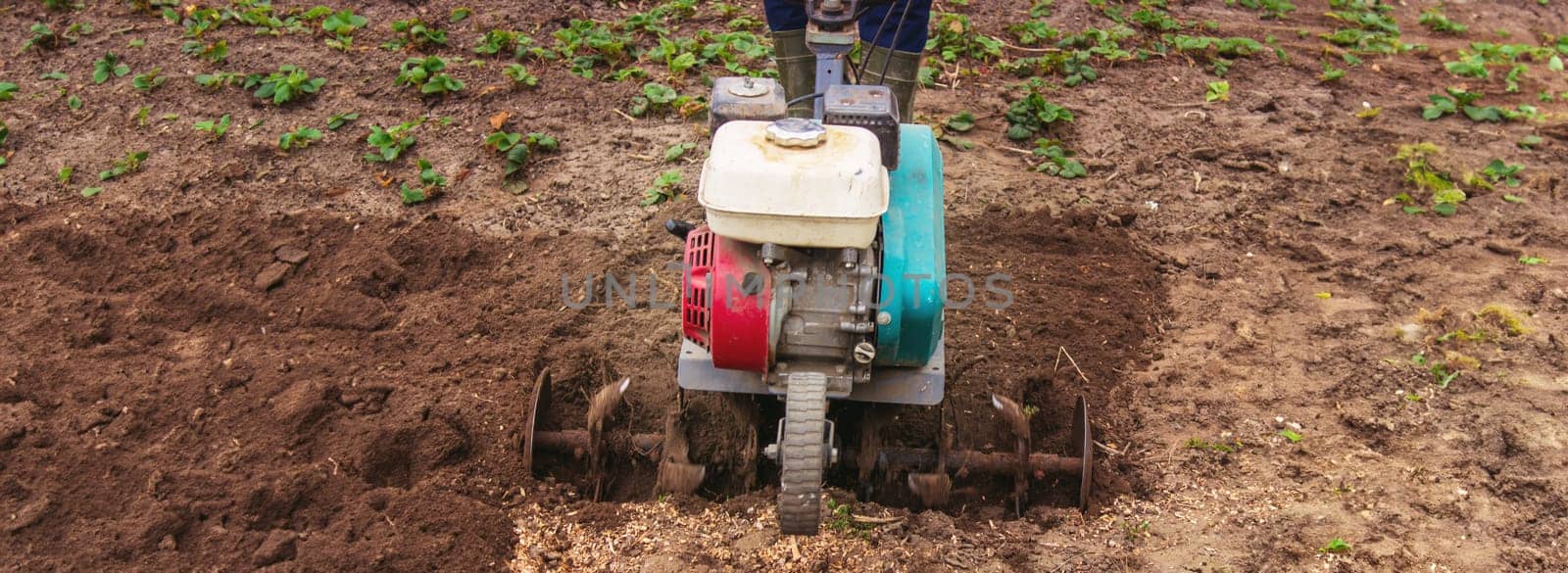 a male farmer works in the field on a walk behind a walk-behind tractor, plows the land with a plow.