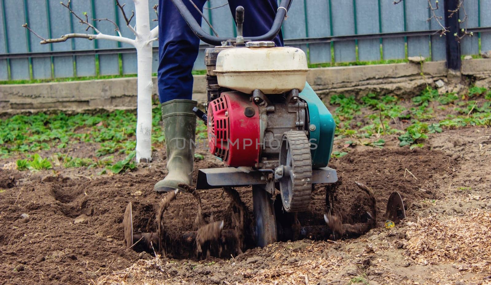 a male farmer works in the field on a walk behind a walk-behind tractor, plows the land with a plow.