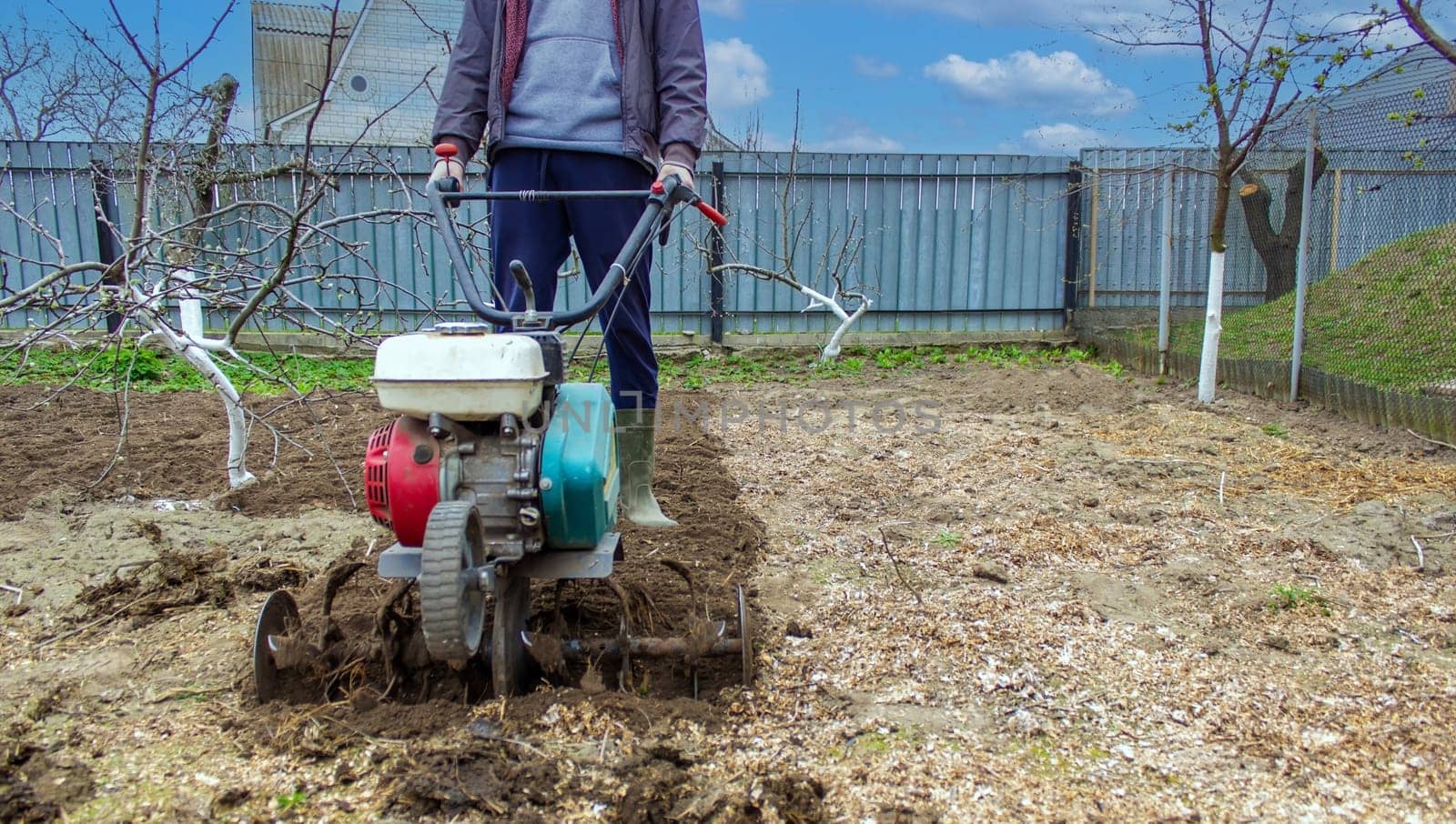 a male farmer works in the field on a walk behind a walk-behind tractor, plows the land with a plow.