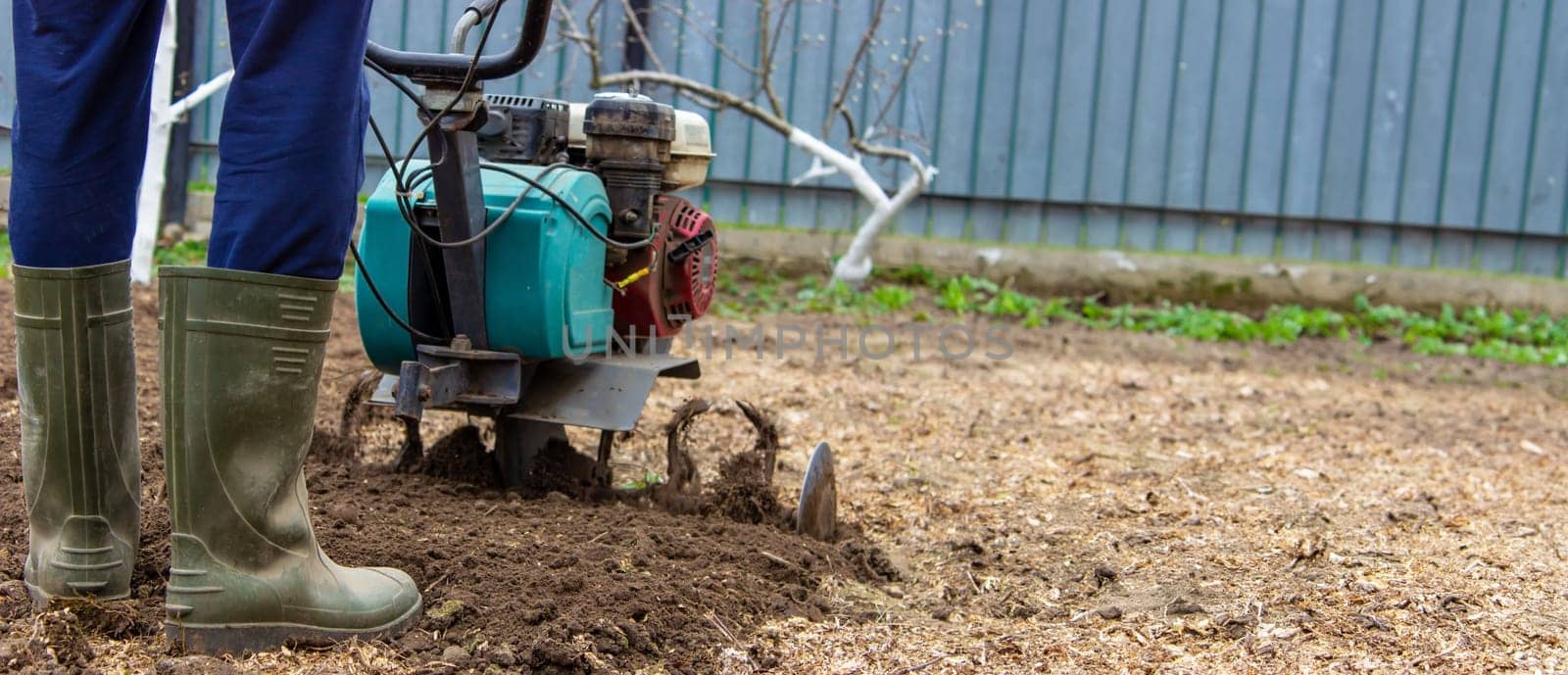 a male farmer works in the field on a walk behind a walk-behind tractor, plows the land with a plow.