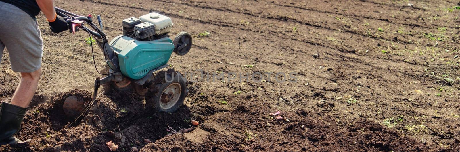a male farmer works in the field on a walk behind a walk-behind tractor, plows the land with a plow
