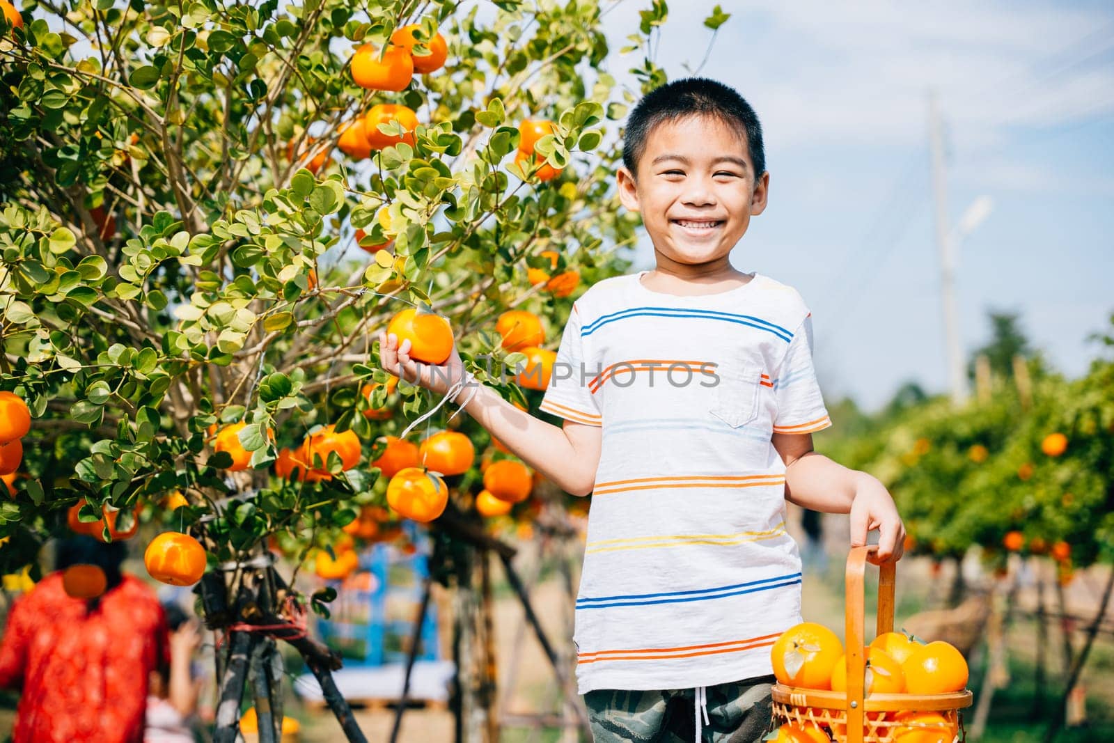 A smiling kid eagerly reaches for an orange in a lush orange tree garden by Sorapop