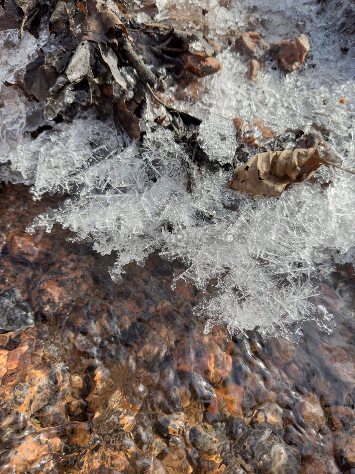 thin transparent ice on a puddle in the park on a spring day, foliage through the ice, dry grass through ice. High quality photo