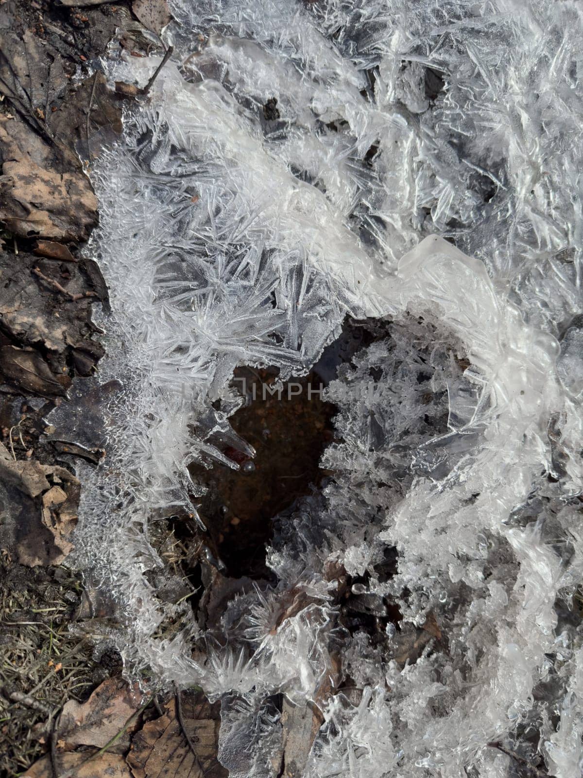 thin transparent ice on a puddle in the park on a spring day, foliage through the ice, dry grass through ice. High quality photo