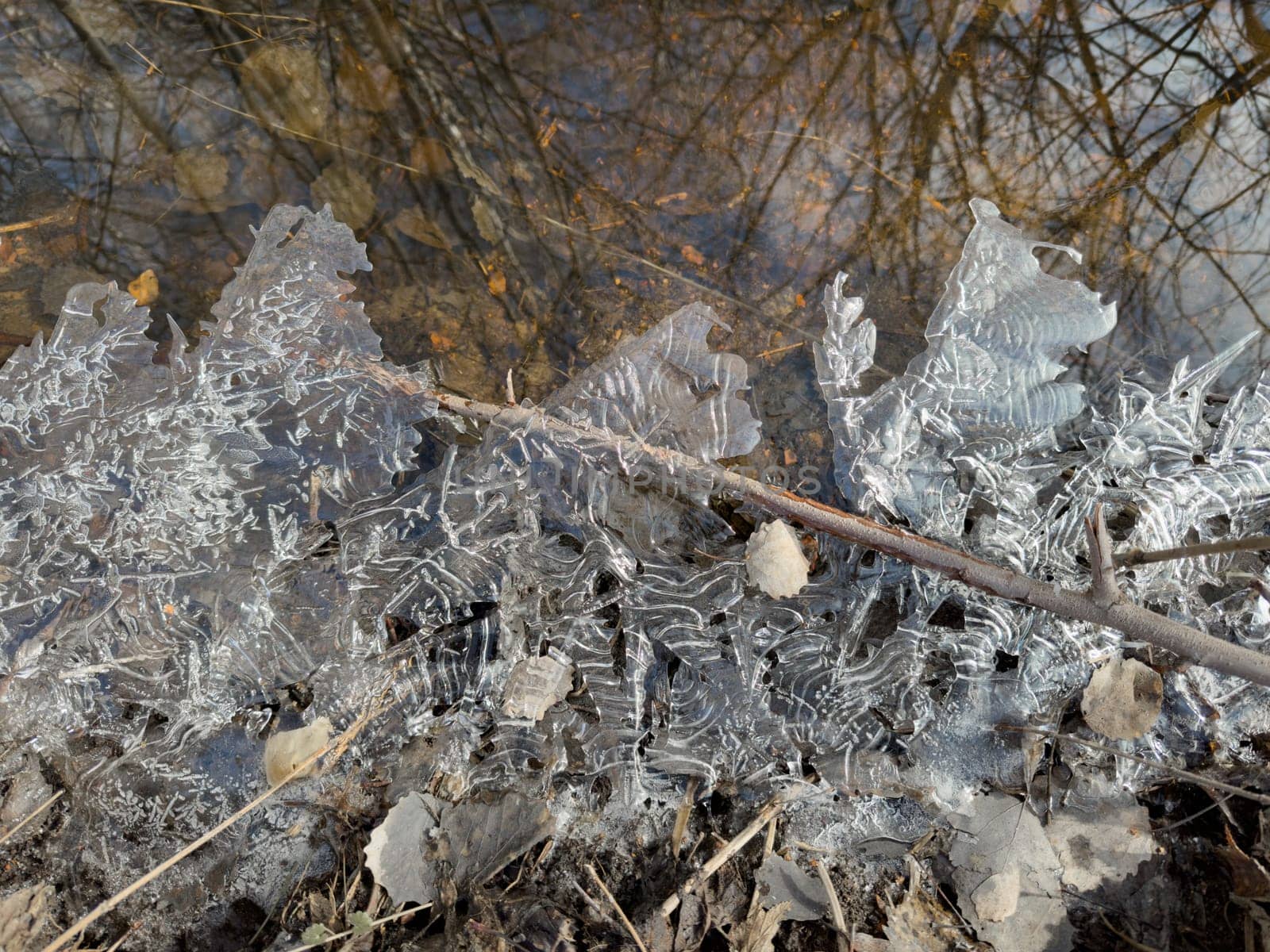 thin transparent ice on a puddle in the park on a spring day, foliage through the ice, dry grass through ice. High quality photo