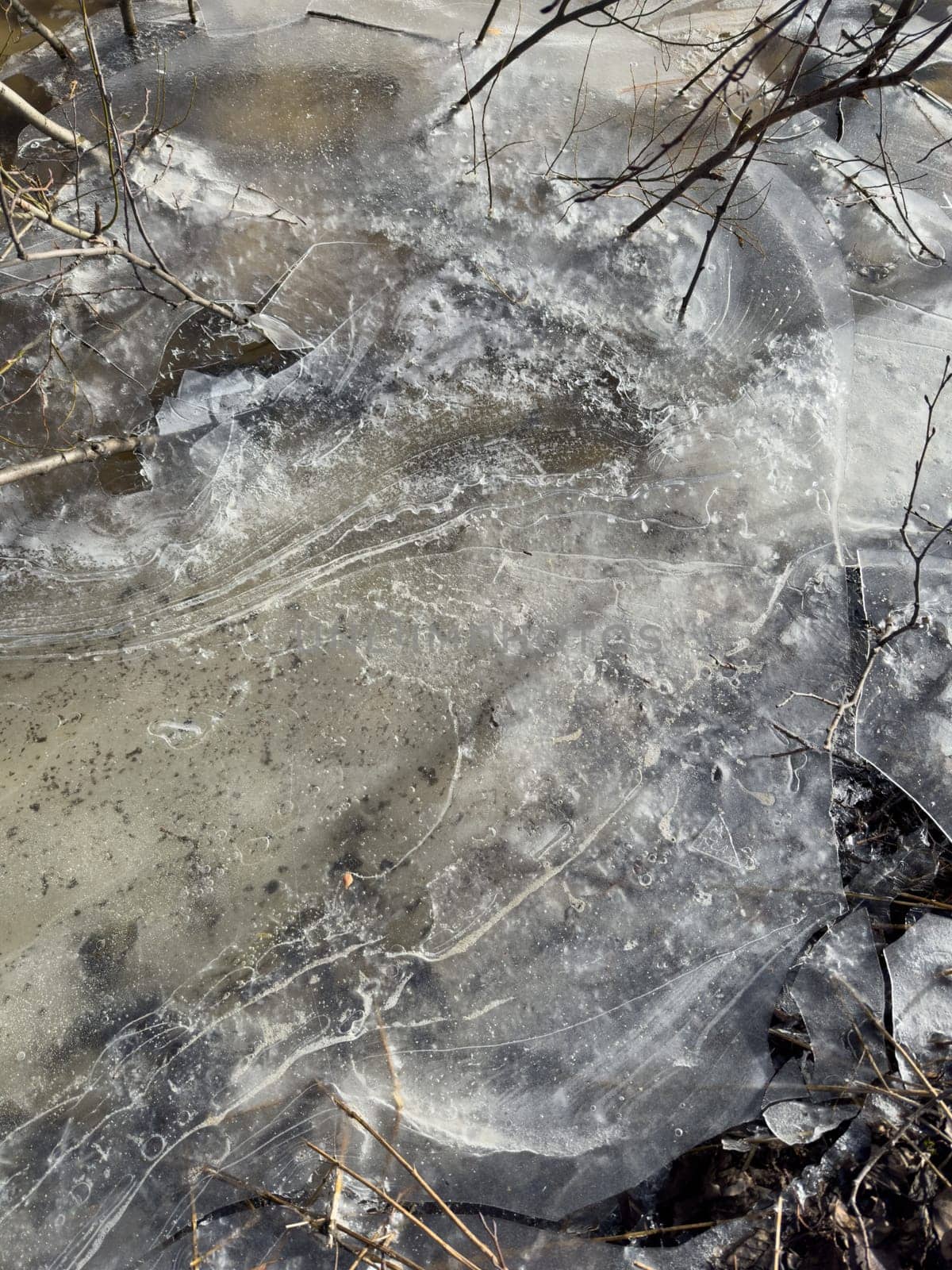 thin transparent ice on a puddle in the park on a spring day, foliage through the ice, dry grass through ice. High quality photo