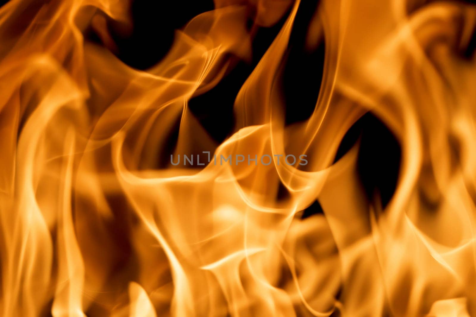 firestorm. Fire burning. Bright burning flames on a black background. Wall of Real fire, abstract background. Fire flames, isolated on dark background by EvgeniyQW
