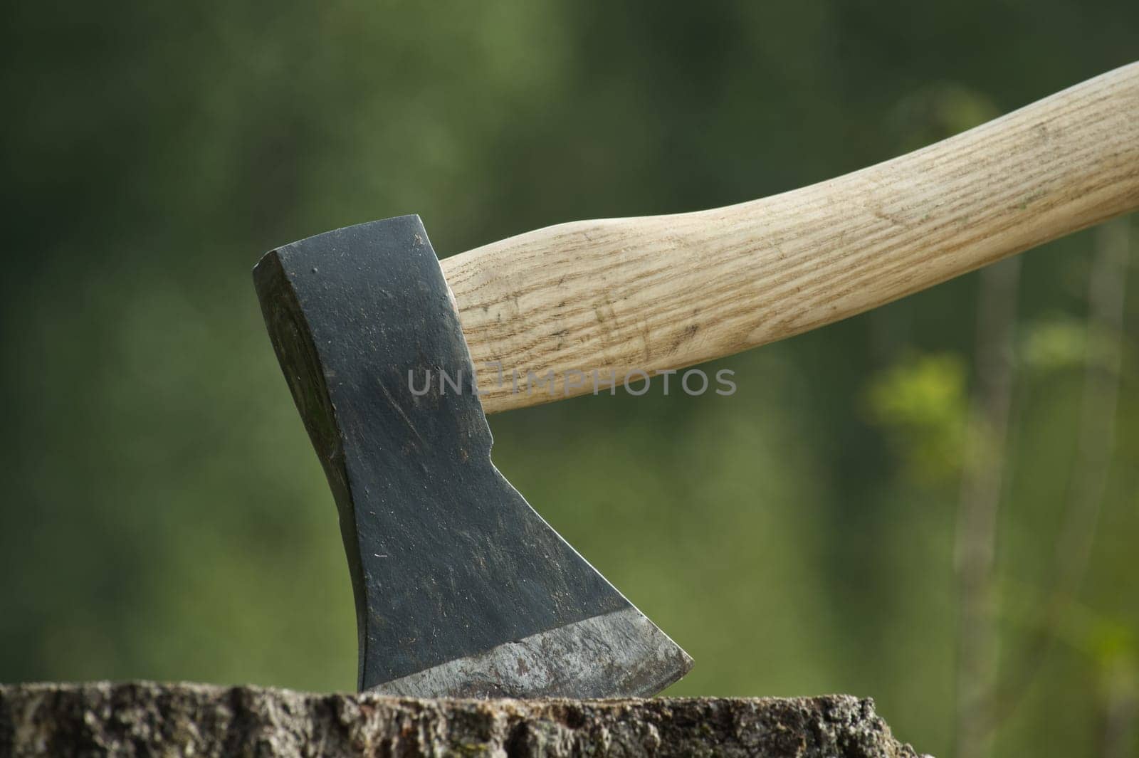 Hatchet or ax stuck in a tree stump against of blured forest background. Deforestation, forest clearance or firewood preparation for winter