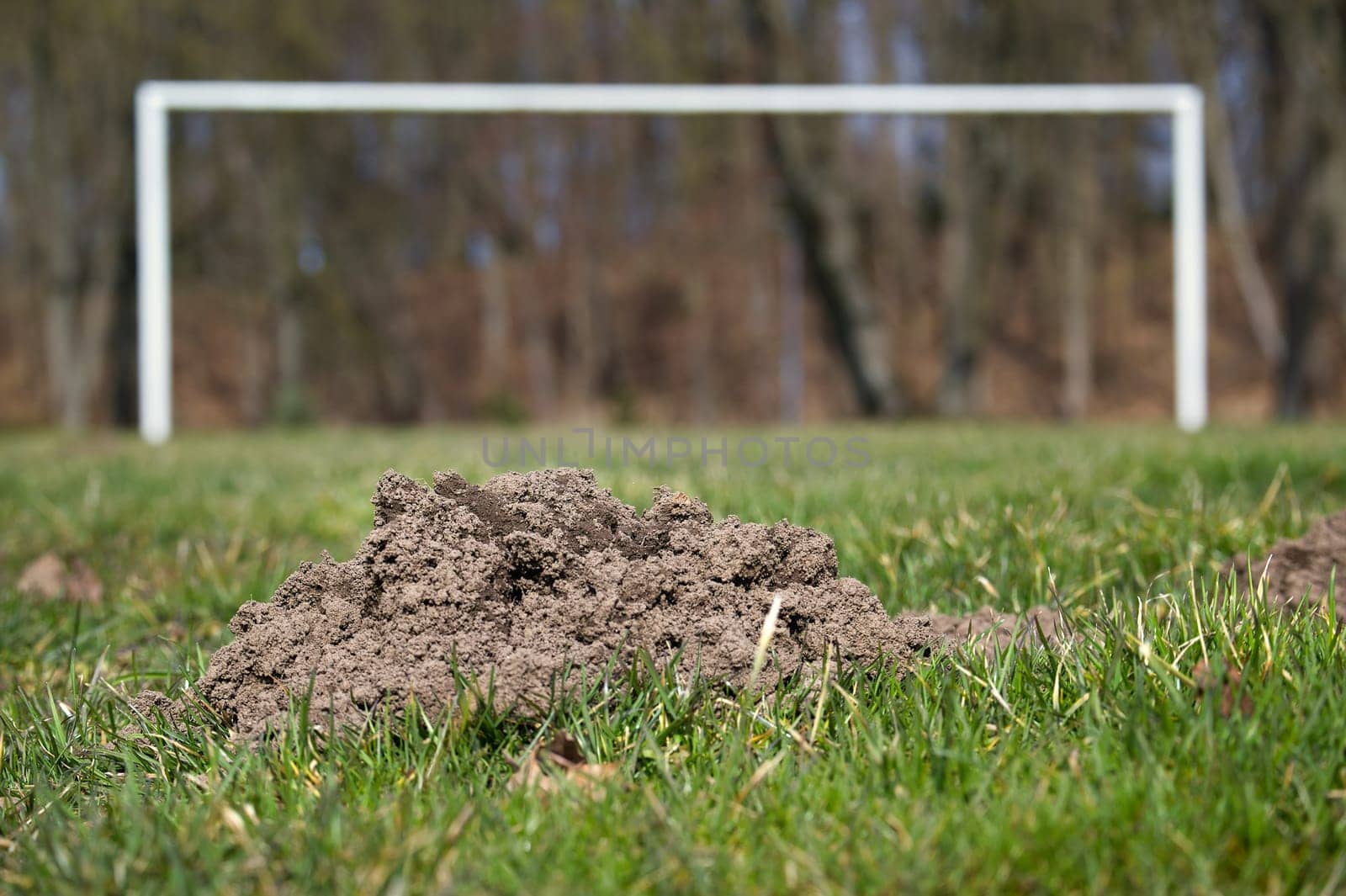 Soccer field with a goalpost in the background and a large mole hole situated in the foreground
