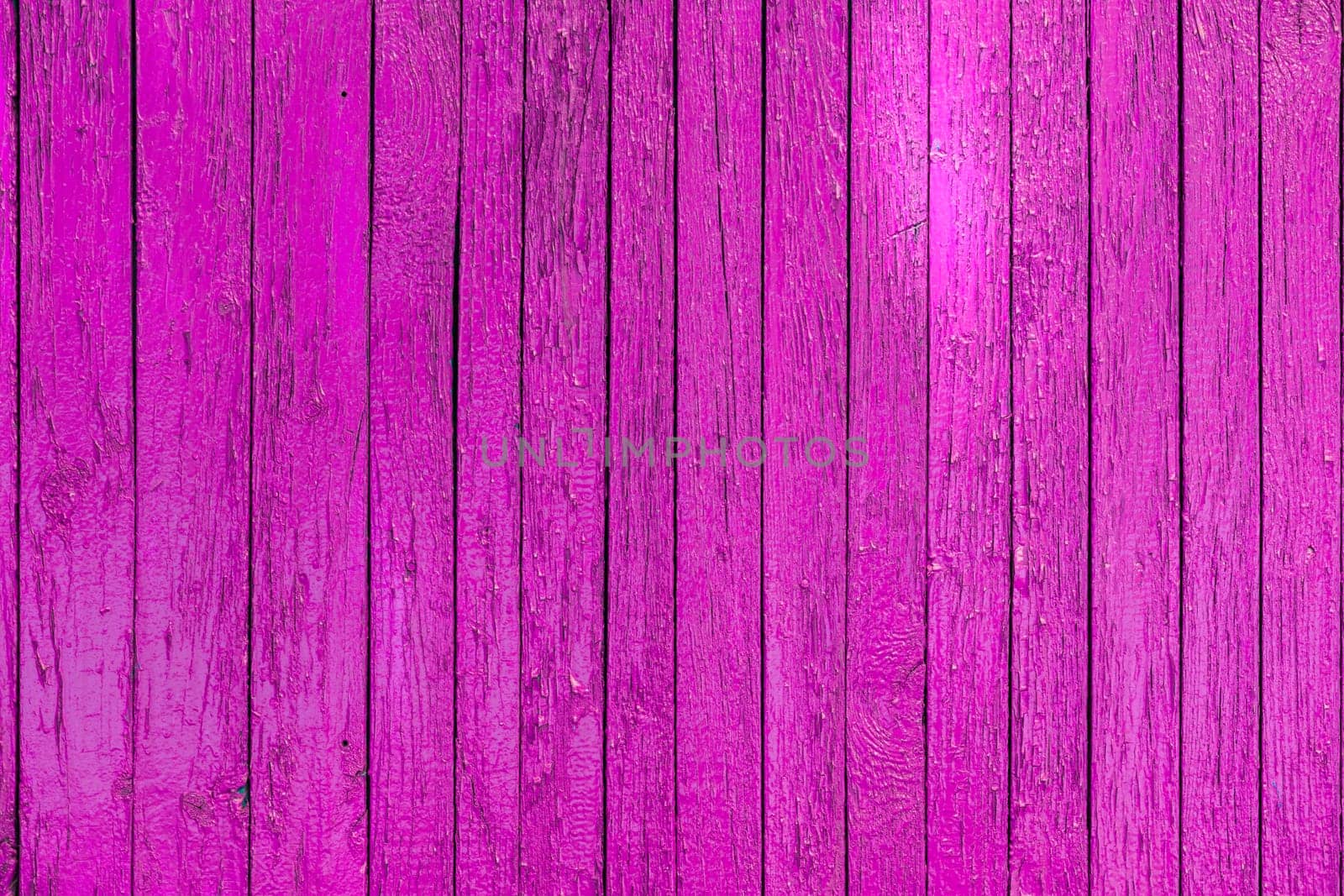 A vibrant close up of a wooden fence painted in one shade of pink color.