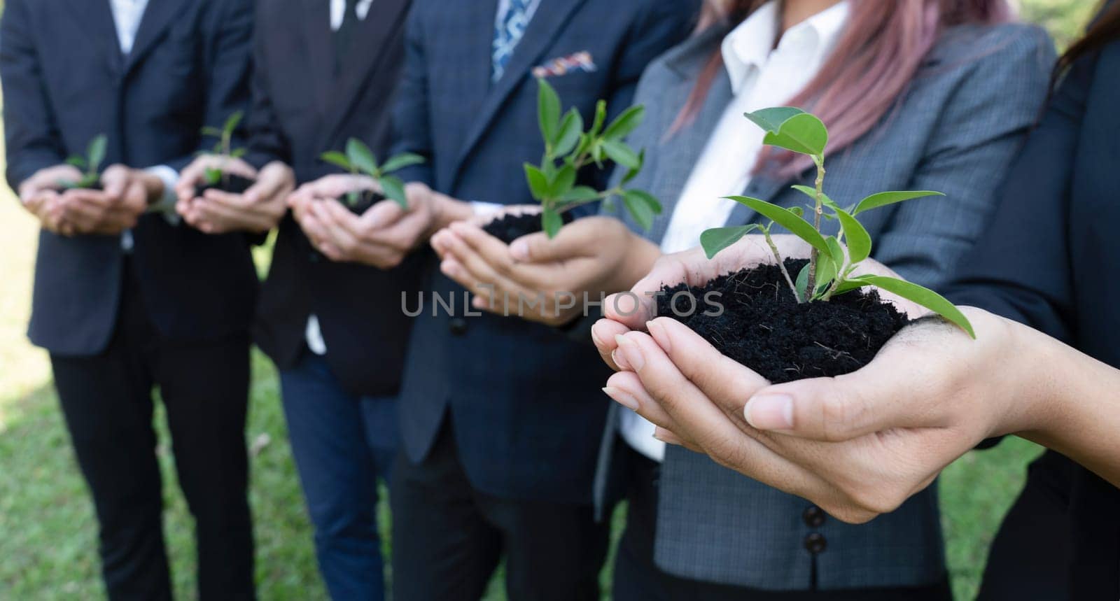 Business people holding plant or sprout together in unity as CSR commitment.Gyre by biancoblue