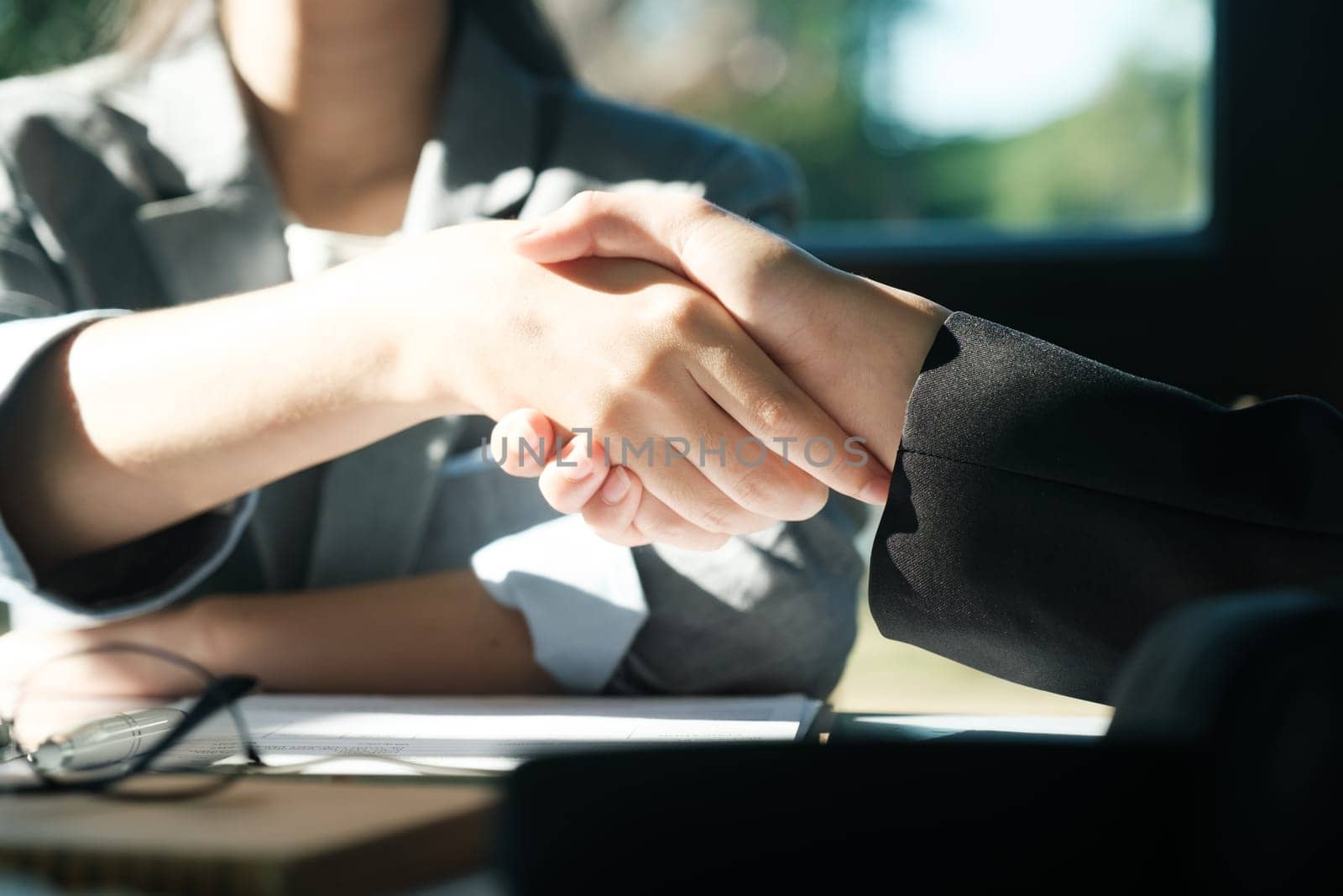 Two people shaking hands in a business meeting by ijeab