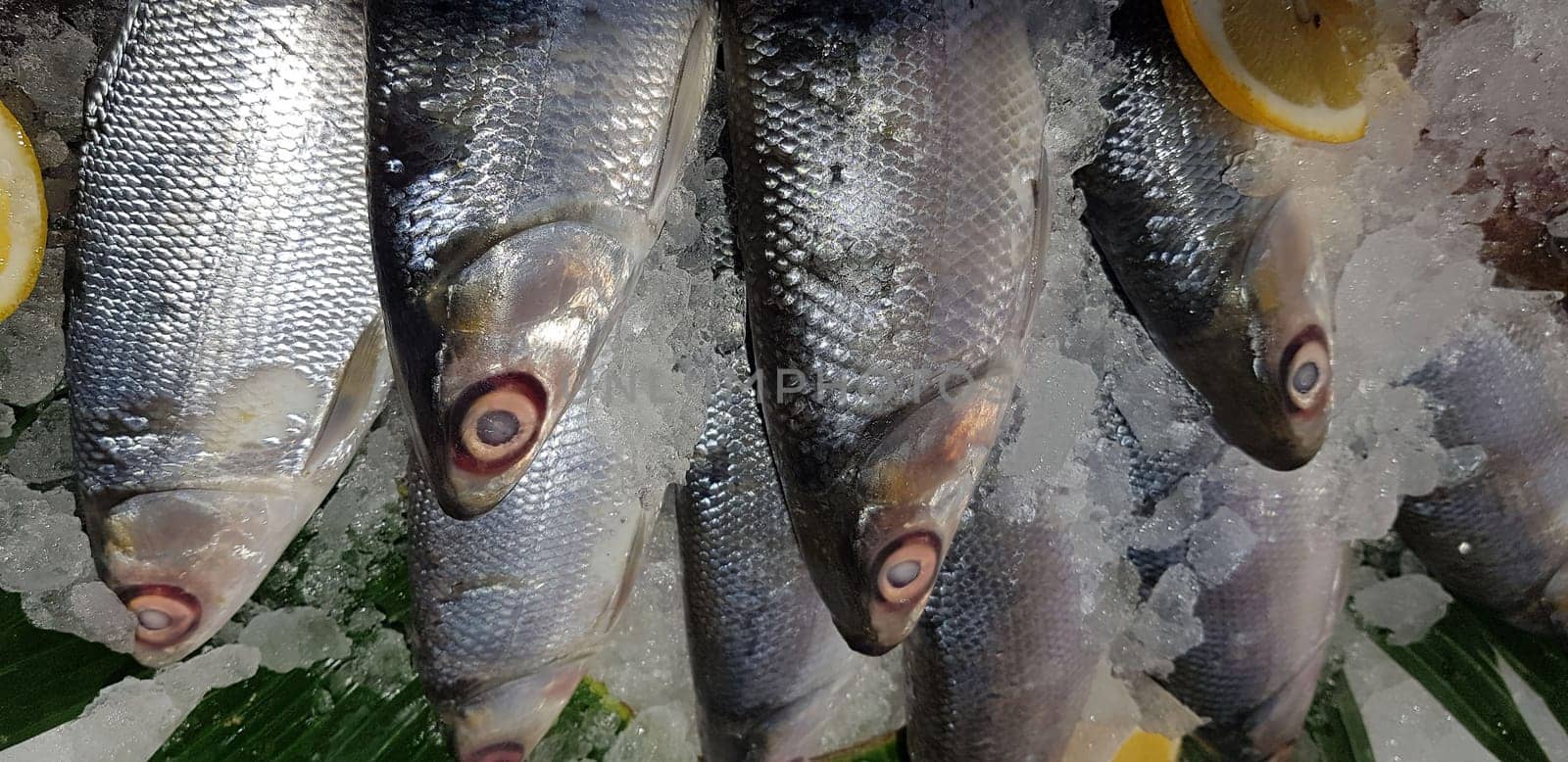 Bangus milk fish laying on a fresh ice at a wet market. It is a common tasty and national fish raw fish