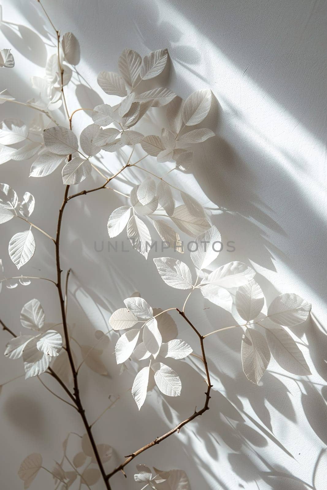 Delicate white leaves cast shadows on a clean surface, ideal for Nordic-inspired decor, simplistic backgrounds, or nature-themed graphics. Vertical format. Generative AI. by creativebird