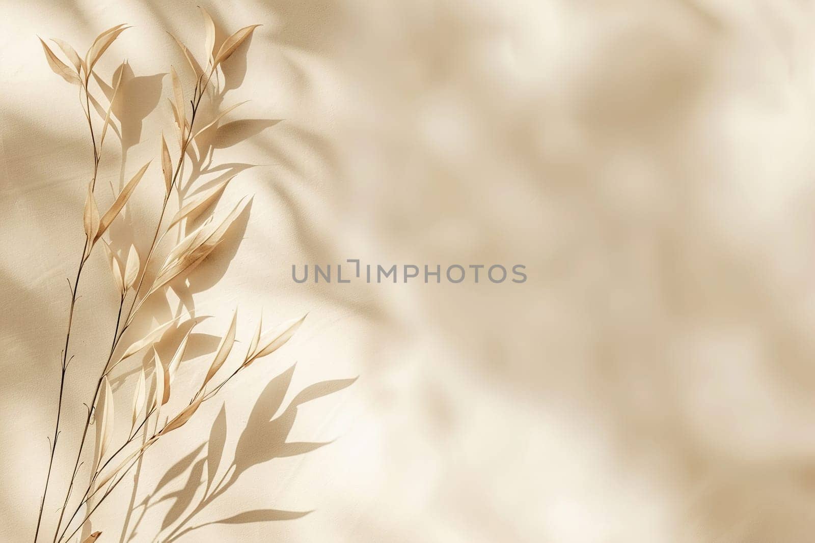 Natural, minimalistic background with plants and beautiful light. Empty, copy space for text. Nordic style backdrop. Soft, beige color. Generative AI. by creativebird