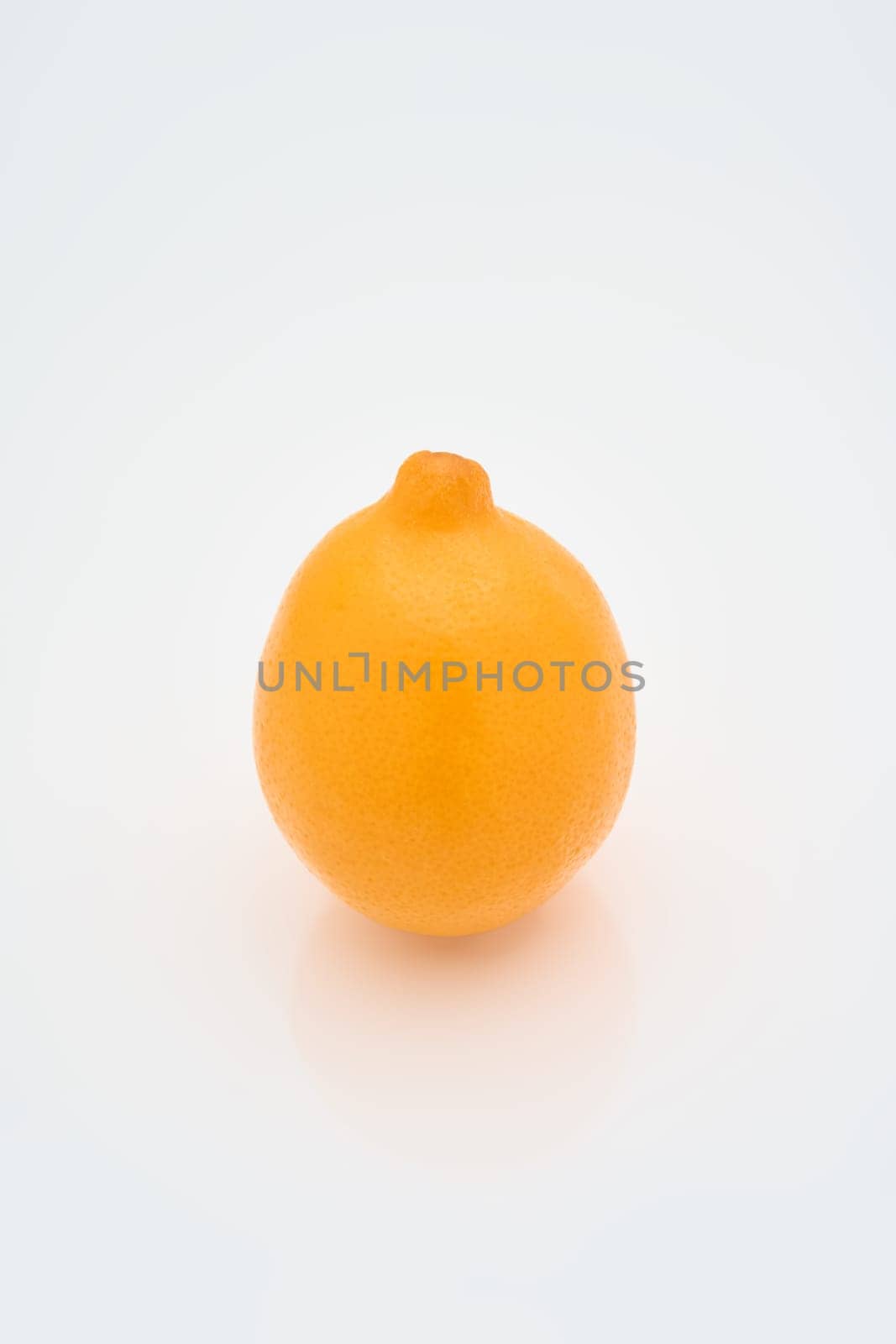juicy bright lemon on a white background with reflection on the surface by vladimirdrozdin