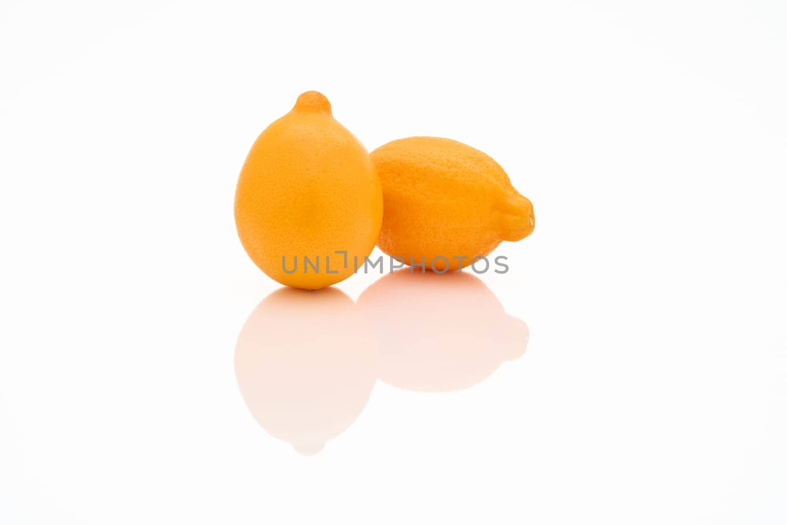two orange juicy lemons in on a white glossy background with reflection on the surface, mirror image. High quality photo