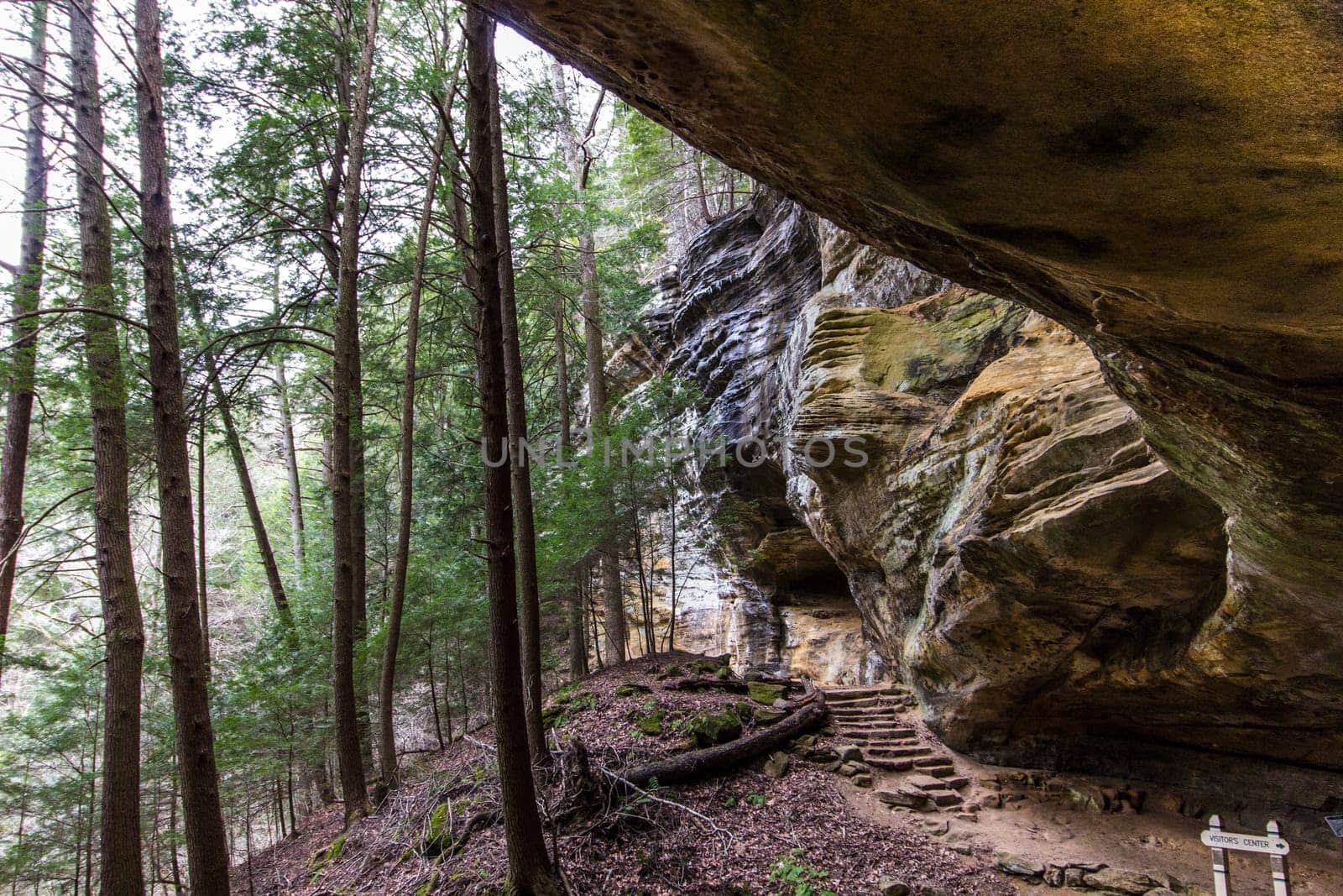 Old Man's Cave, Hocking Hills State Park, Ohio by Txs635