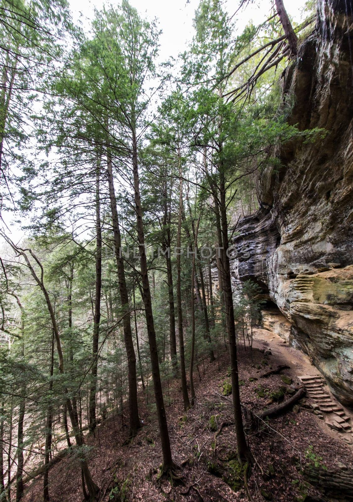 Views at Old Man's Cave, Hocking Hills State Park, Ohio