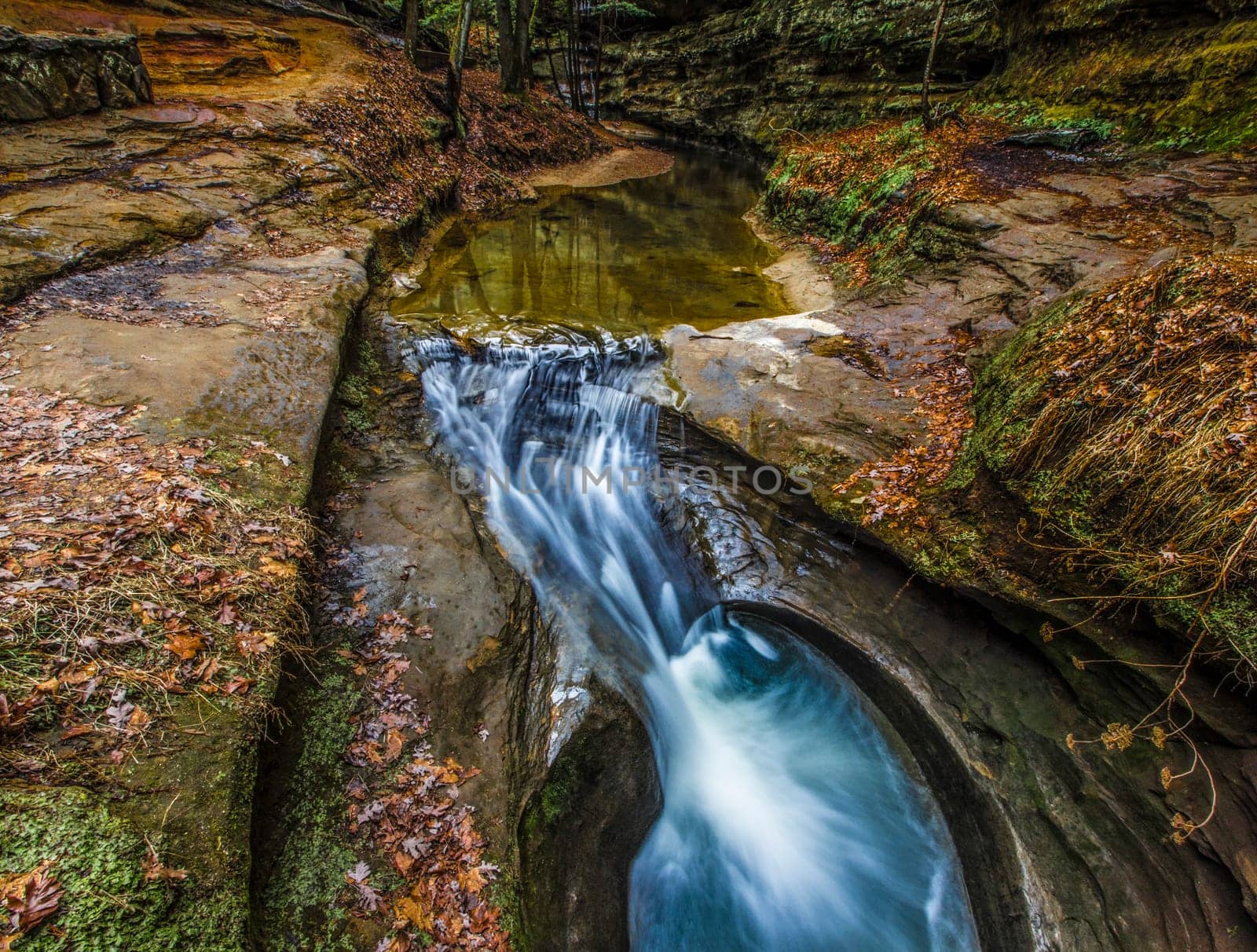 Devil's Bathtub, Old Man's Cave, Hocking Hills State Park, Ohio by Txs635