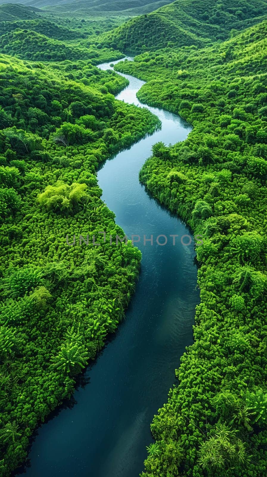 Aerial view of a winding river through lush landscapes, illustrating the beauty of nature.