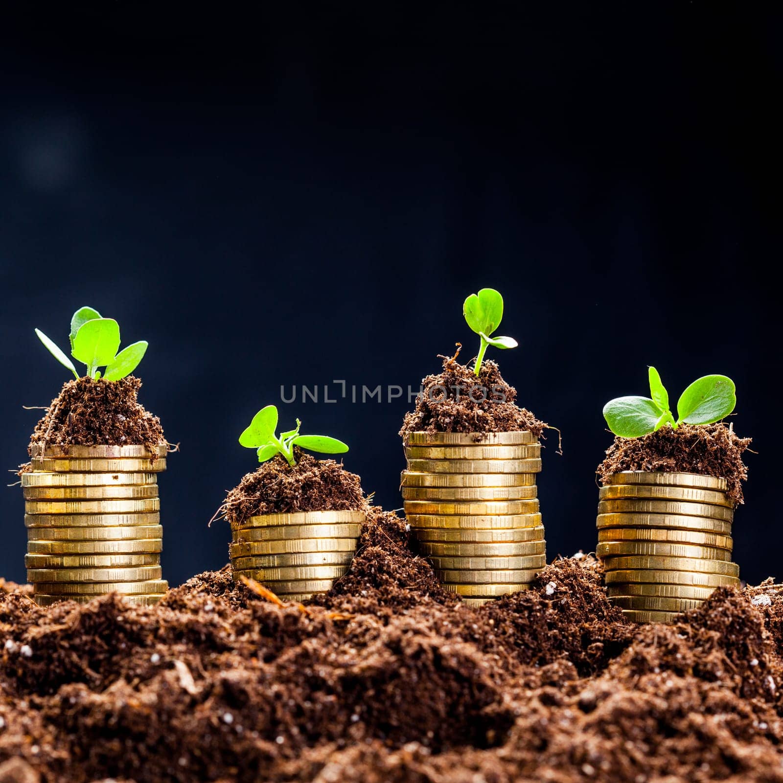 Golden coins in soil with young plant. Money growth concept. by Fabrikasimf
