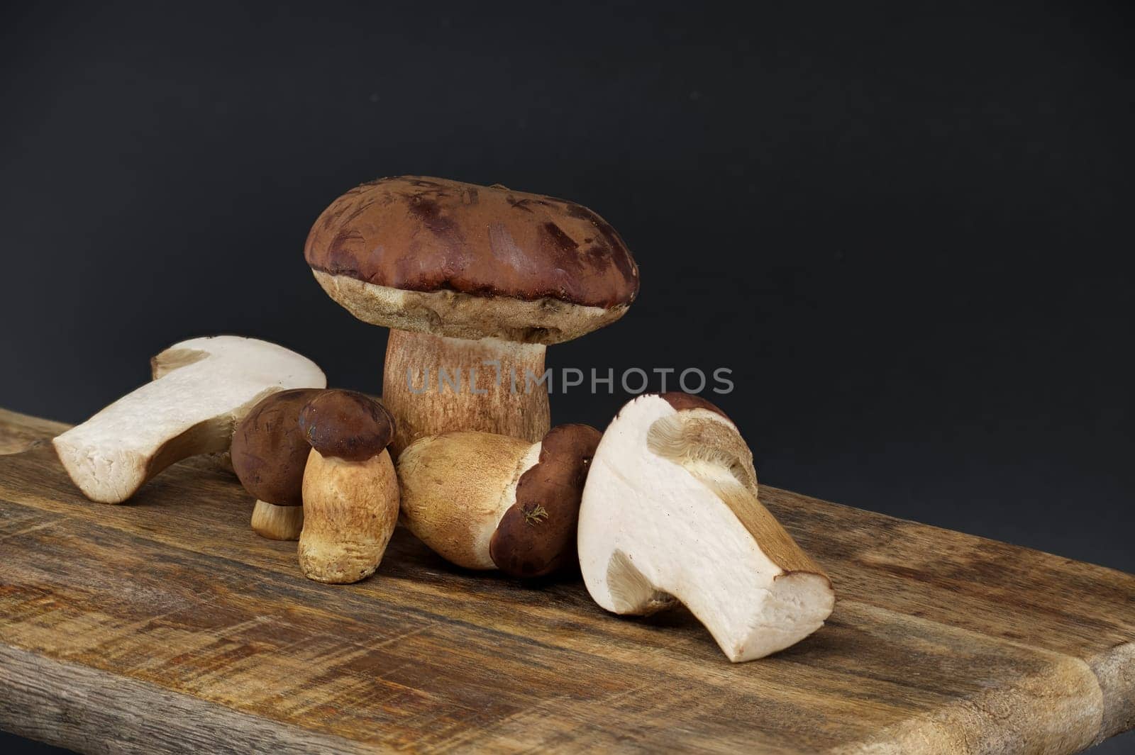 Boletus pinophilus mushrooms over dark background by NetPix