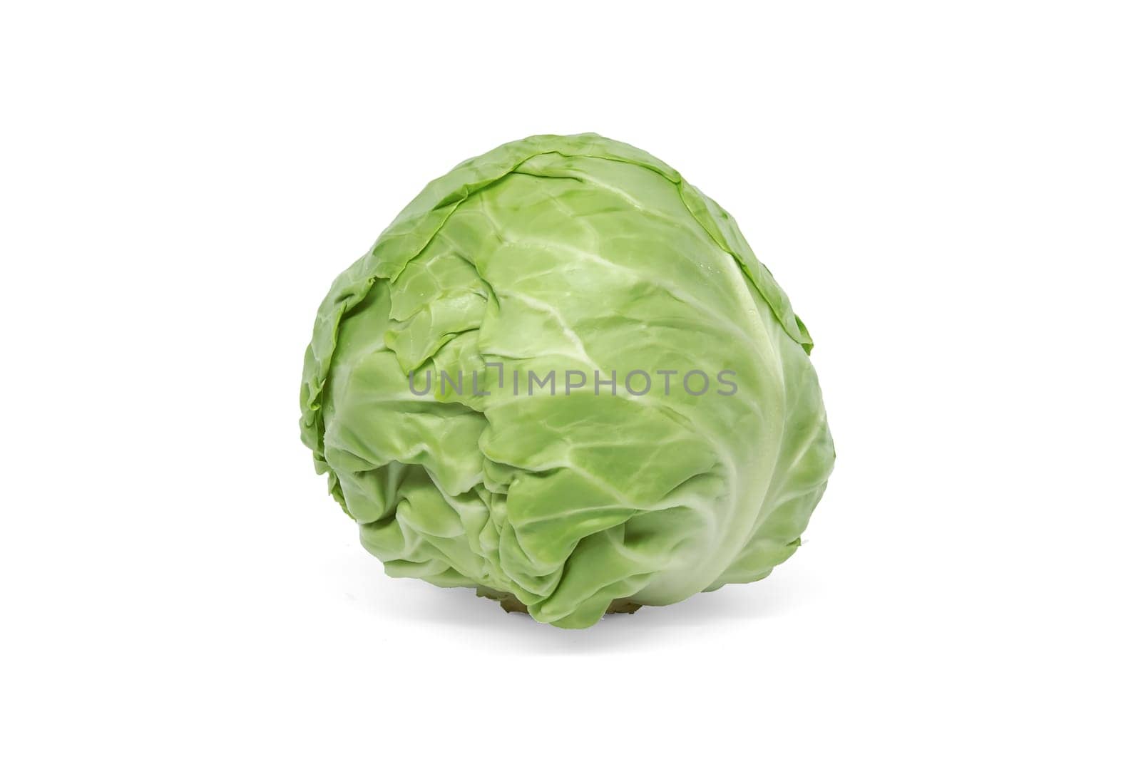 Whole fresh cabbage isolated on white background