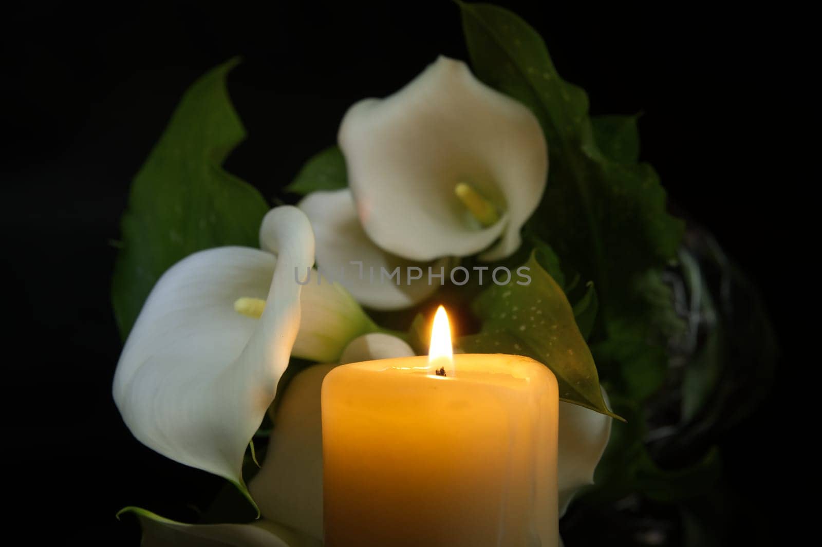 White calla lily flower next to glowing candle flame casts a warm light in a dark environment and creates a soothing ambiance, radiating a sense of peaceful solitude
