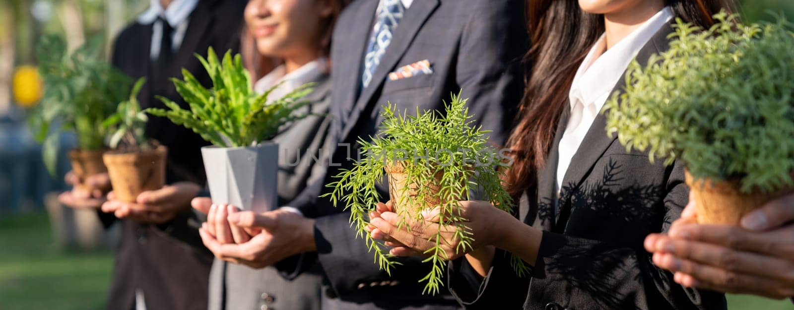 Business people holding plant as concept of eco company committed to corporate social responsible, reducing CO2 emission, protect environment, and embrace ESG principle for sustainable future. Gyre