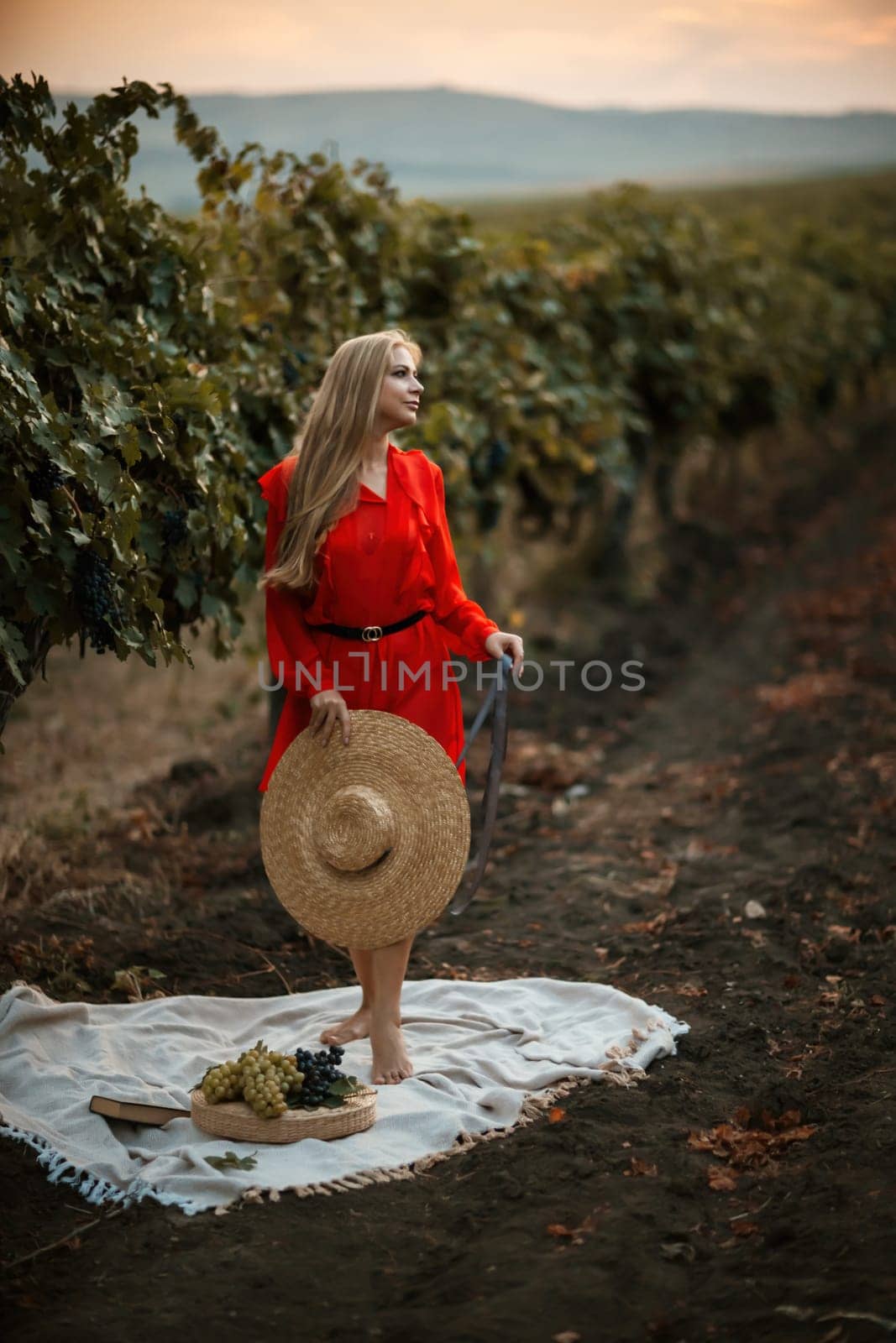 woman vineyards portrait of a happy woman in the summer vineyards at sunset. woman in a hat and smiling. by Matiunina