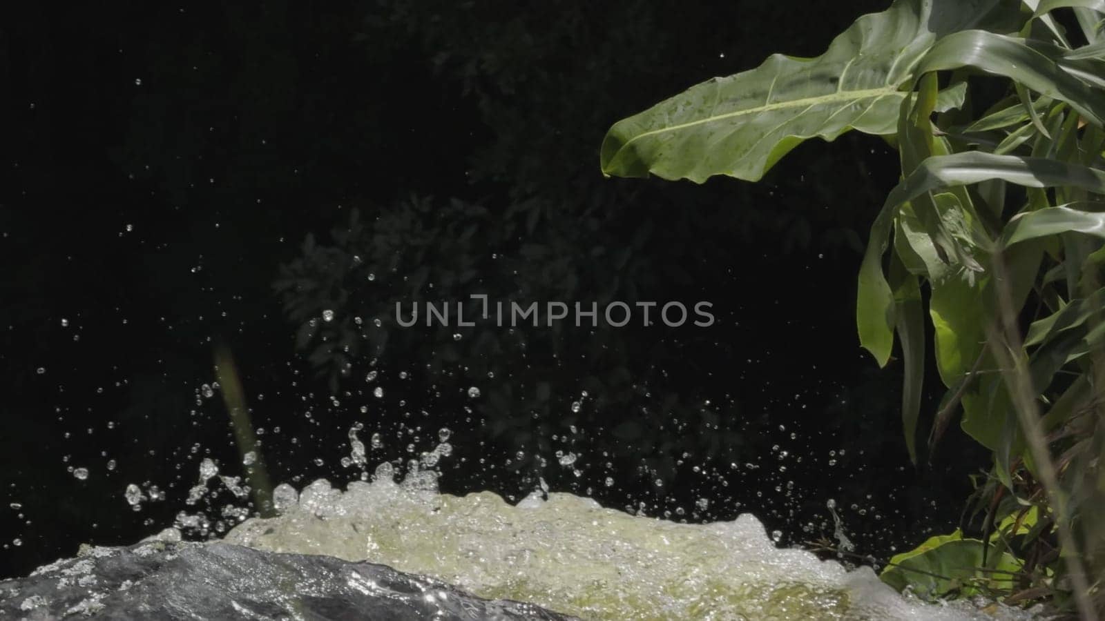 Slow-mo video of water falling into the dark, with a plant observing.