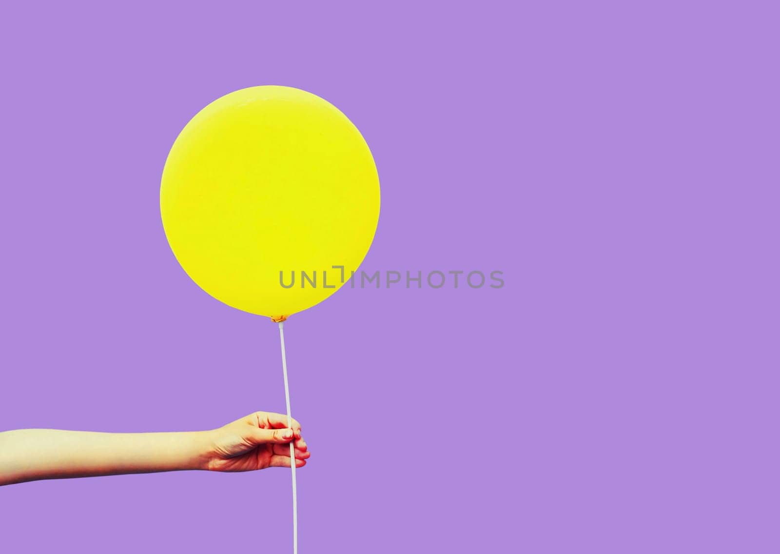 Colorful image close up female hand holding or showing yellow balloon on violet background