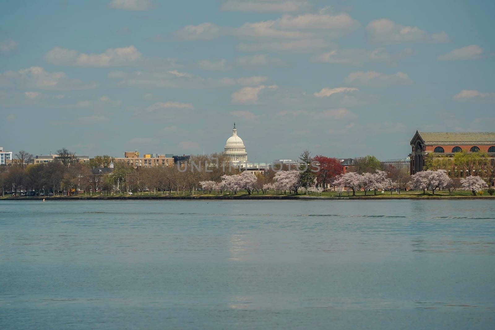 capitol cruise on potomac river washignton dc on riverboat water taxi by AndreaIzzotti