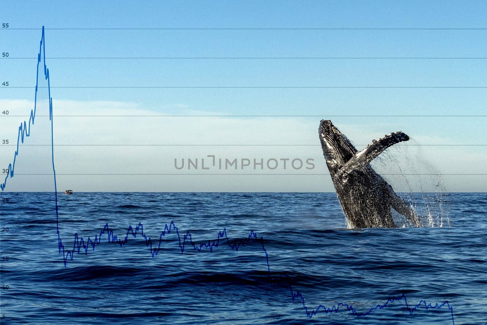 humpback whale breaching by AndreaIzzotti