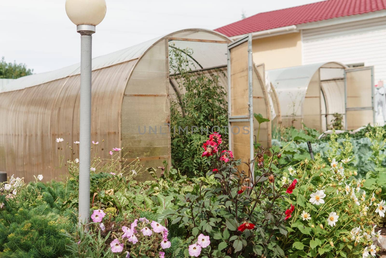Large greenhouses for growing homemade vegetables. The concept of gardening and life in the country