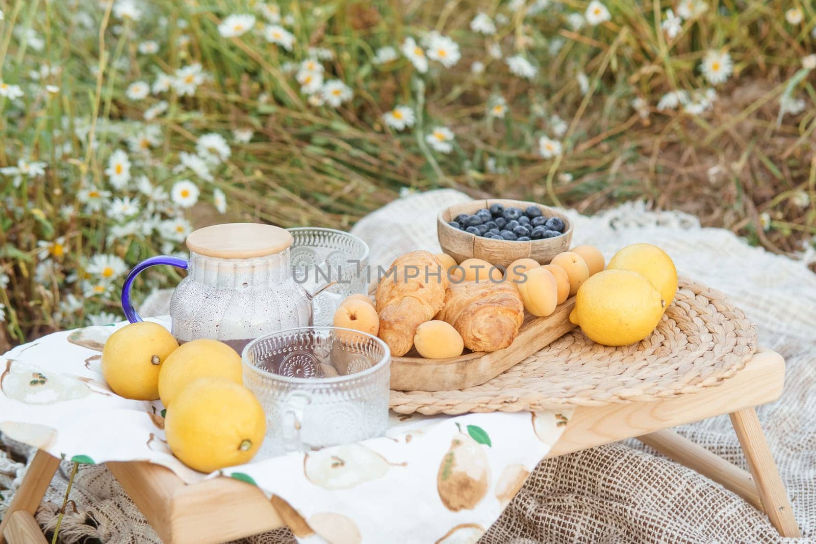 Picnic in the chamomile field. A large field of flowering daisies. The concept of outdoor recreation