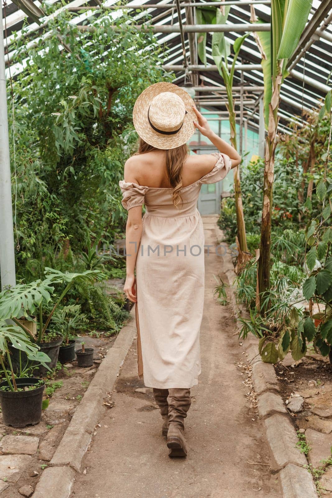 A beautiful young woman takes care of plants in a greenhouse. The view from the back. Concept of gardening and an eco-friendly lifestyle.