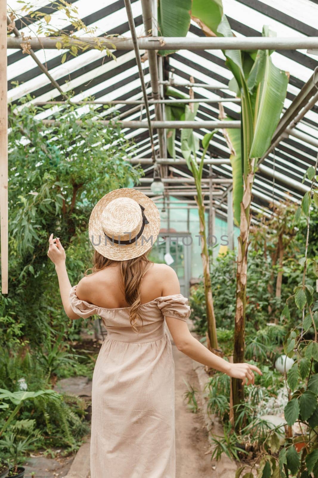 A beautiful young woman takes care of plants in a greenhouse. The view from the back. Concept of gardening and an eco-friendly lifestyle.