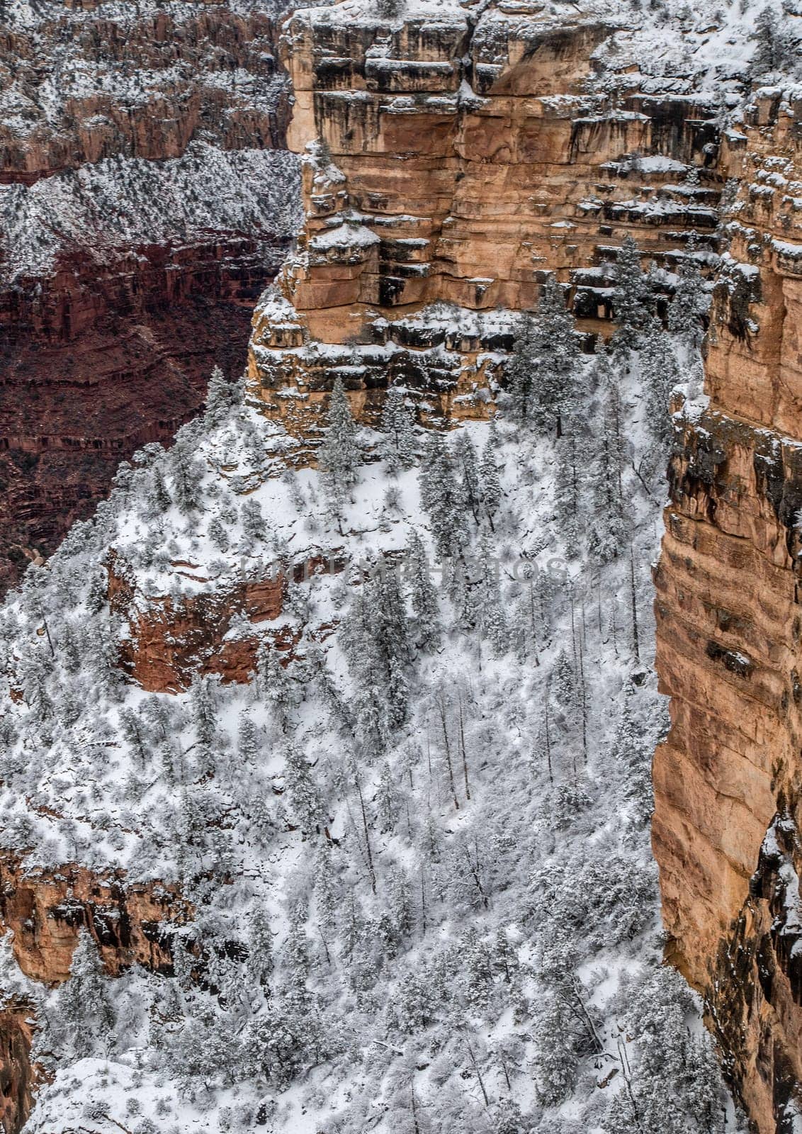 Fresh snow has fallen at the South Rim of The Grand Canyon at Grand Canyon National Park, Arizona