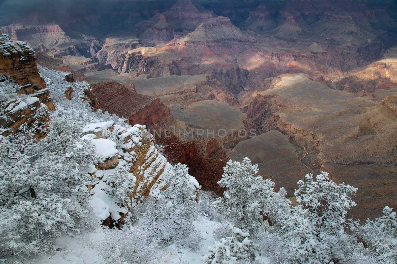 Fresh snow has fallen at the North Rim of The Grand Canyon at Grand Canyon National Park, Arizona