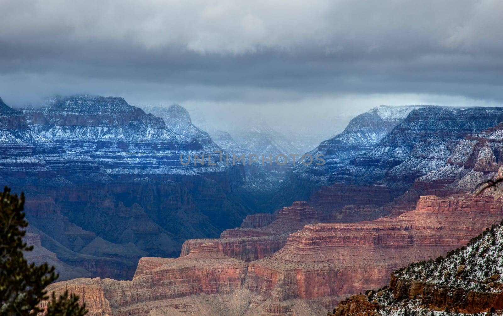 Fresh snow has fallen at the North Rim of The Grand Canyon at Grand Canyon National Park, Arizona