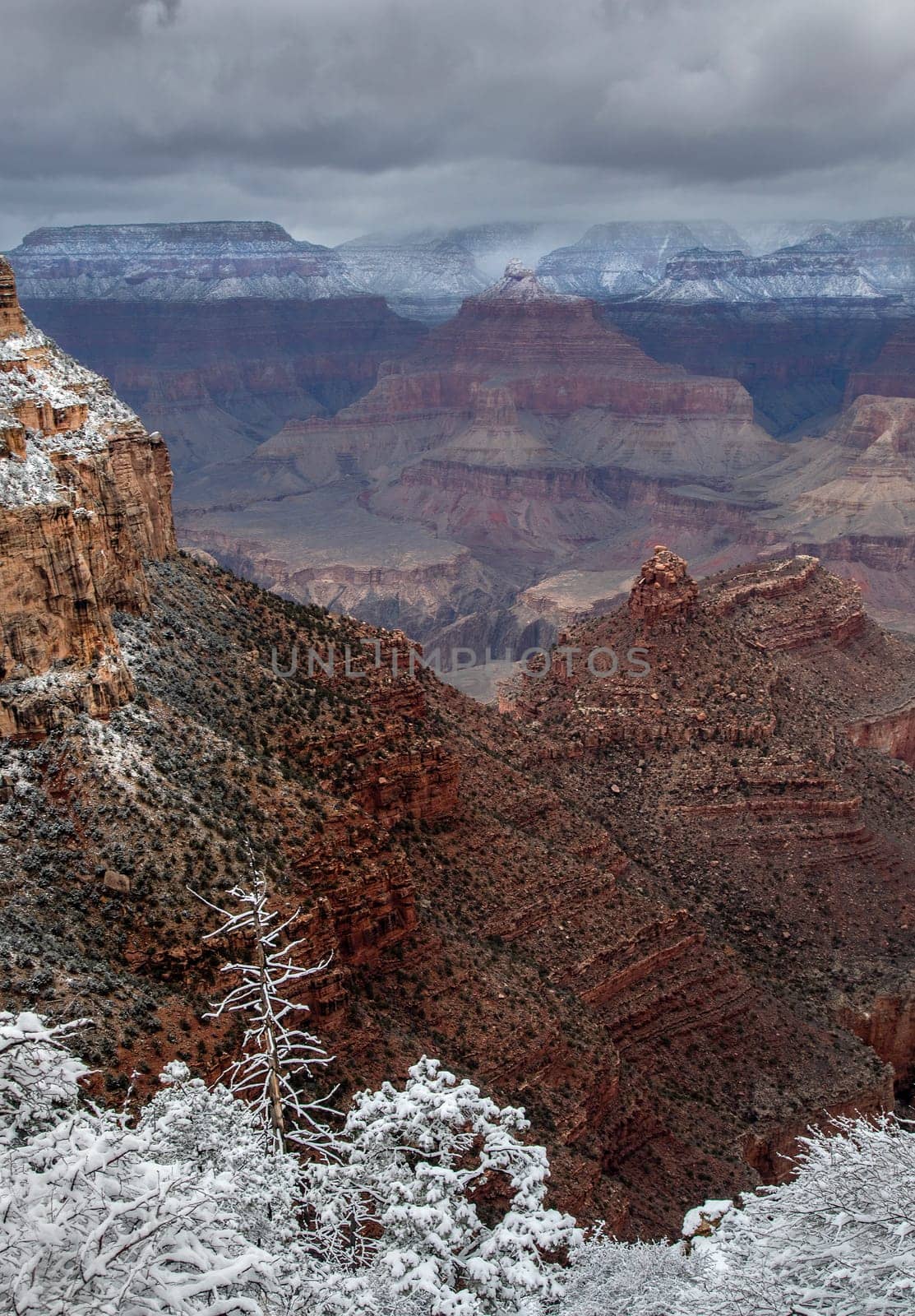 Fresh snow has fallen at the South and North Rims of The Grand Canyon at Grand Canyon National Park, Arizona