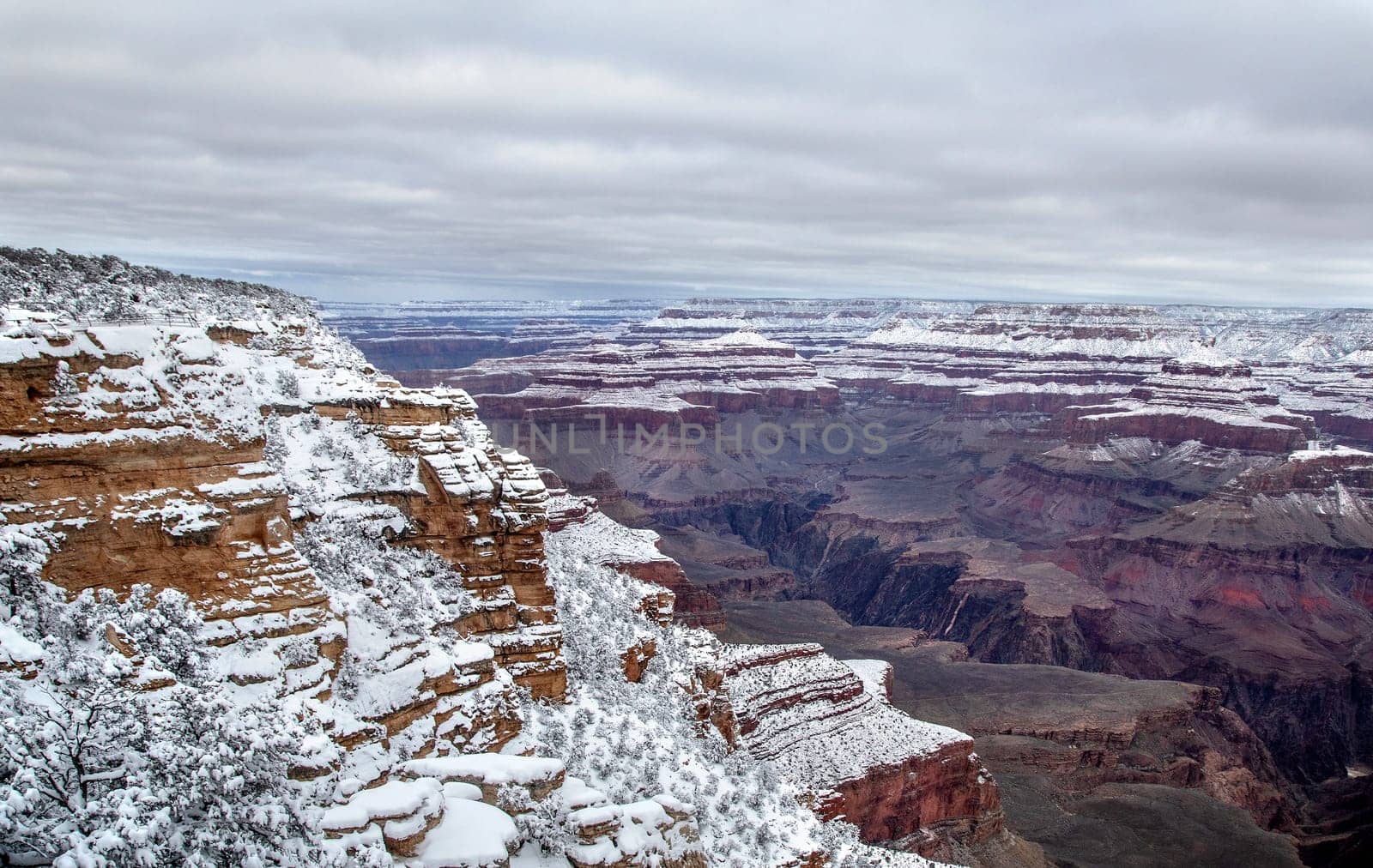 Fresh snow has fallen at the North Rim of The Grand Canyon at Grand Canyon National Park, Arizona